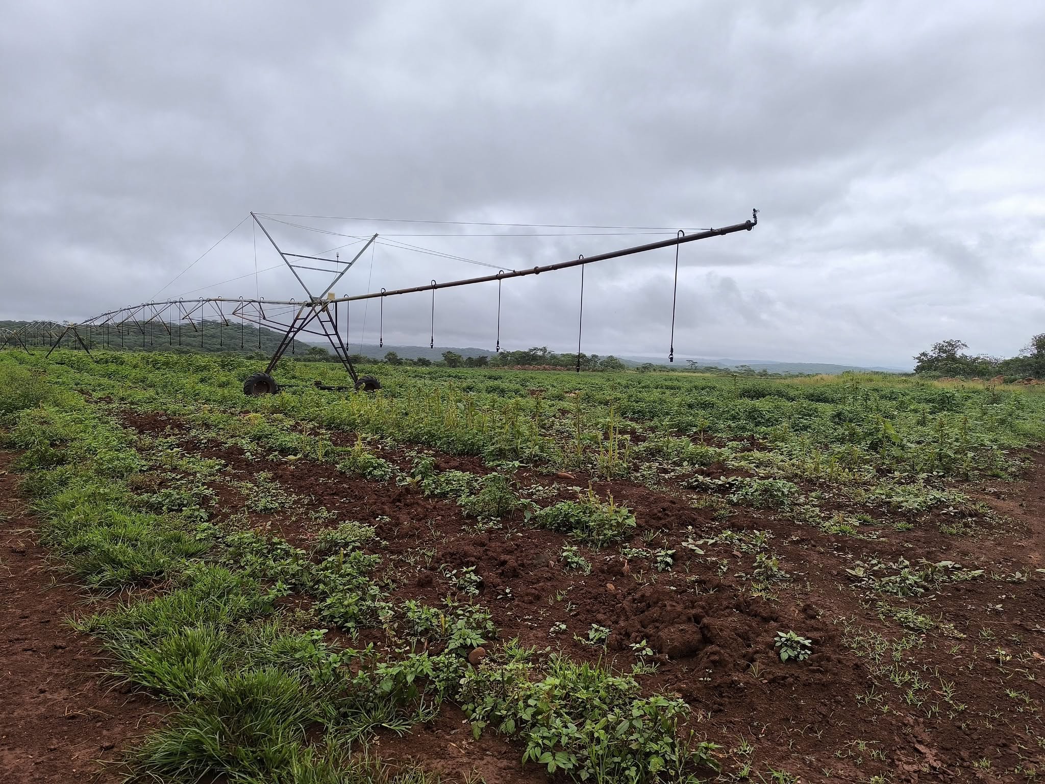Agriculture Project