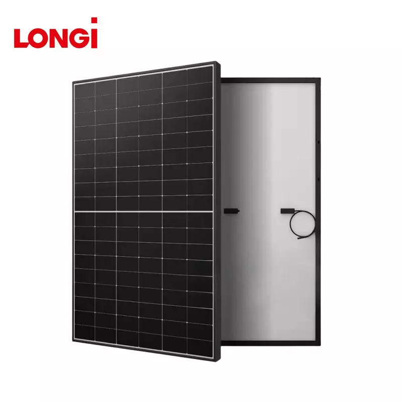 Longi Solar Panel